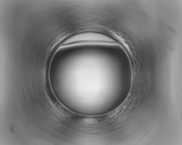 X0000116030154200911201302