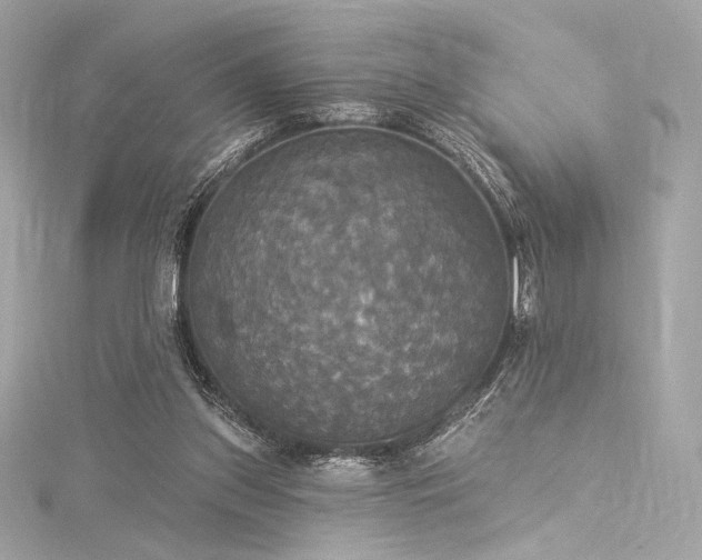 X0000116030157200911201302