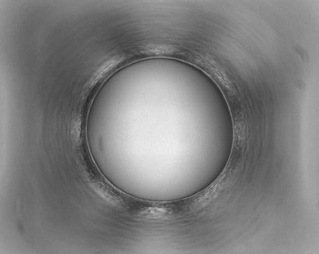 X0000116030159200911201302