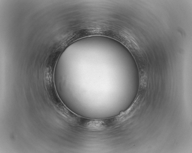 X0000116030179200911201302