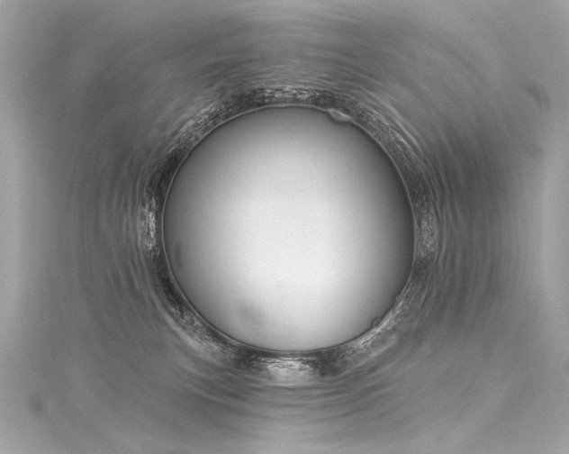 X0000116030183200911201302