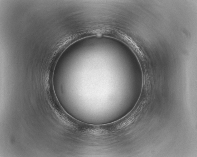 X0000116030201200911201302