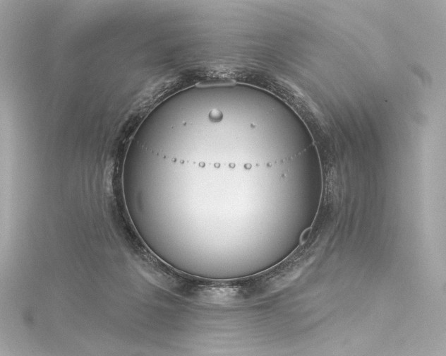 X0000116030217200911201302