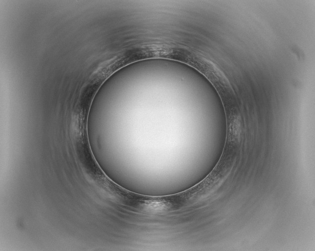 X0000116030218200911201302
