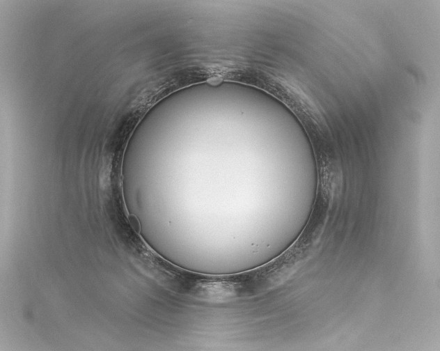 X0000116030221200911201302