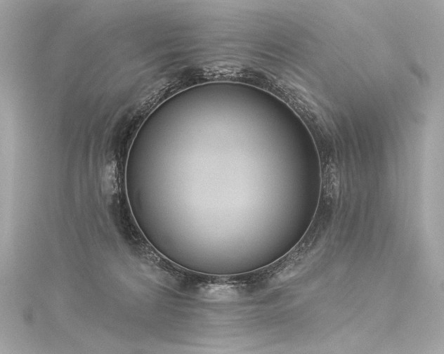 X0000116030224200911201301
