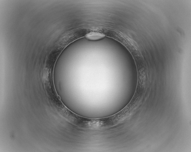 X0000116030225200911201301