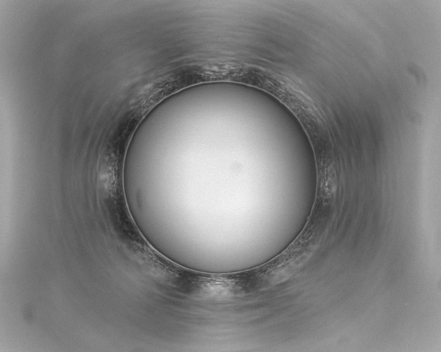 X0000116030226200911201301