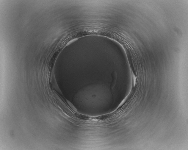 X0000116030227200911201301