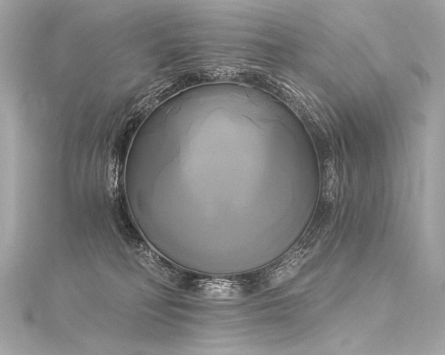 X0000116030230200911201301