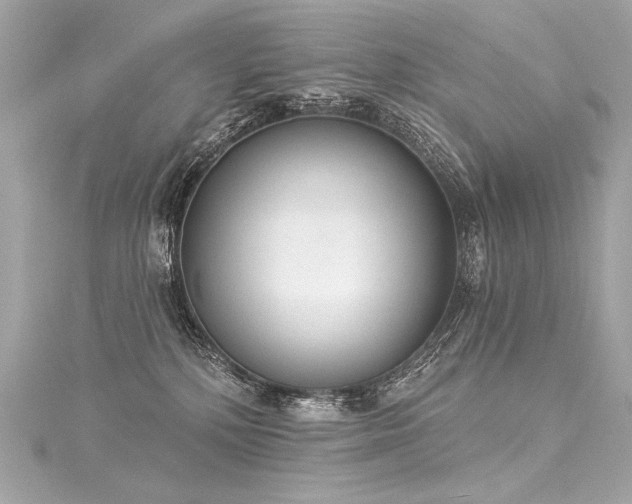 X0000116030232200911201301