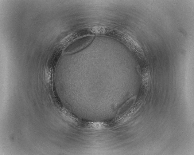 X0000116030233200911201301