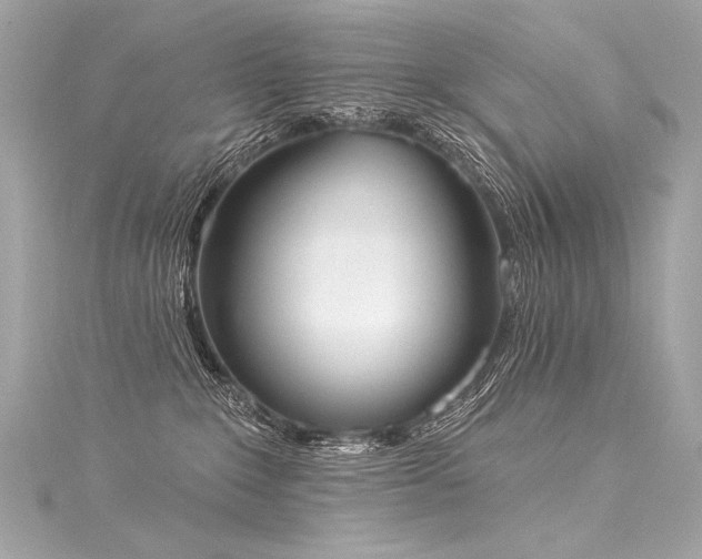 X0000116030235200911201301