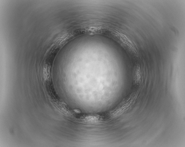 X0000116030236200911201301