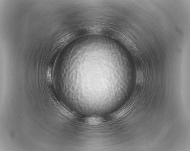 X0000116030238200911201301
