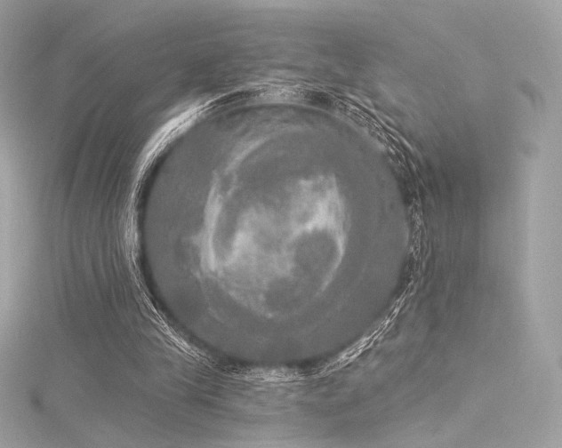 X0000116030245200911201301