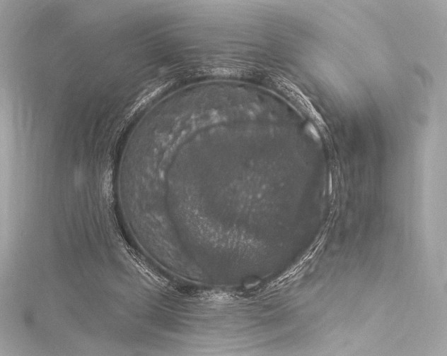 X0000116030249200911201301