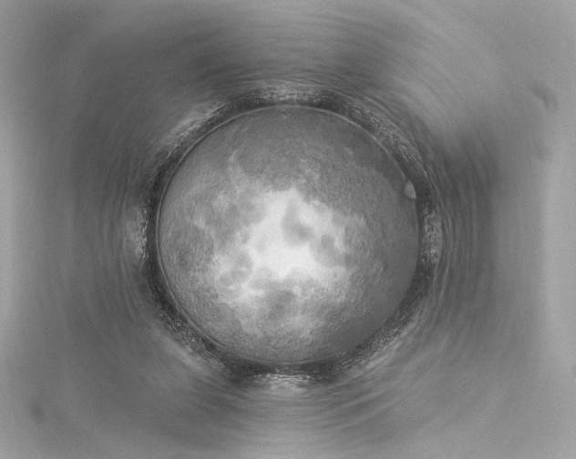 X0000116030255200911201301