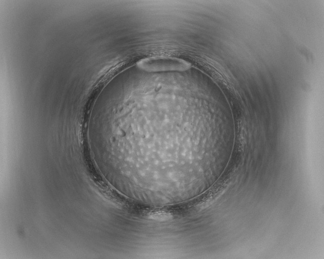 X0000116030258200911201301
