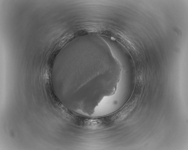 X0000116030277200911201301