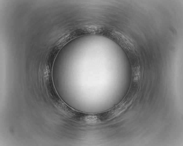X0000116030279200911201301