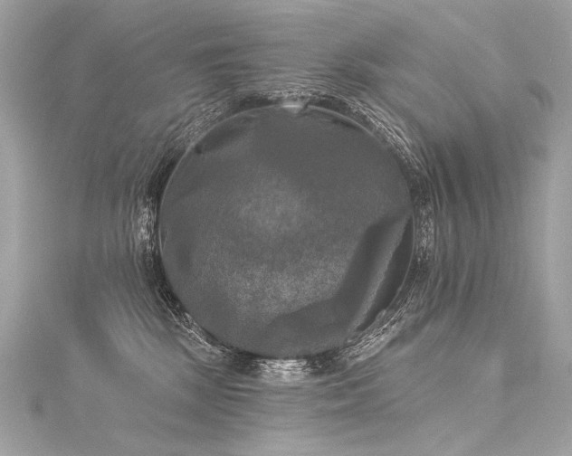 X0000116030281200911201301