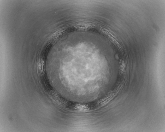 X0000116030283200911201301