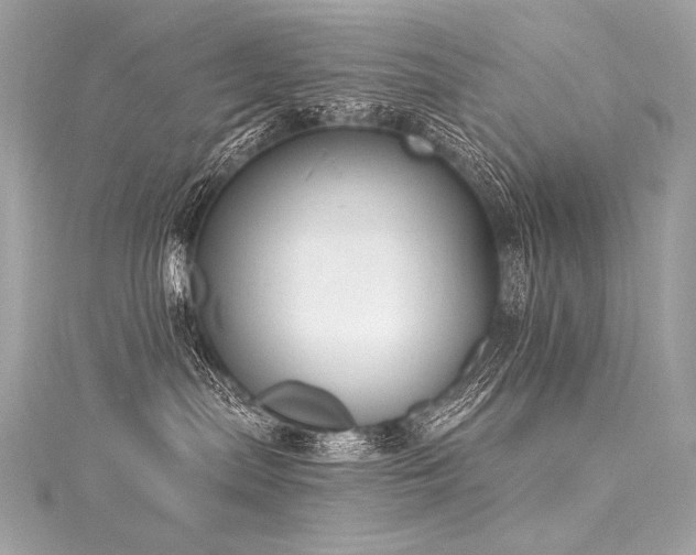 X0000116030287200911201301