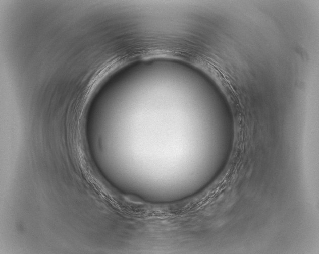 X0000116030289200911201301
