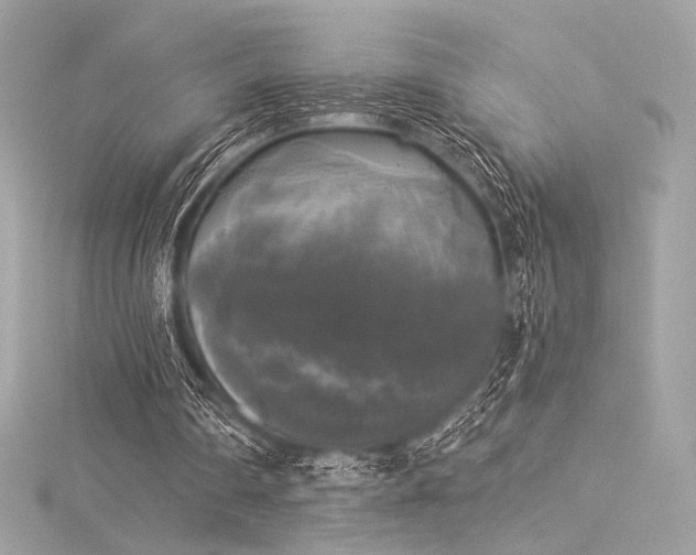 X0000116030290200911201301