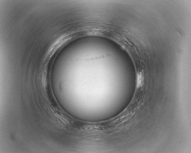 X0000116030291200911201301
