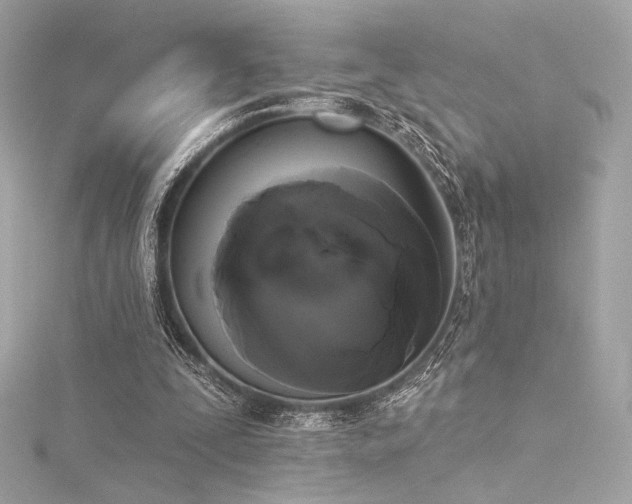 X0000116030295200911201301
