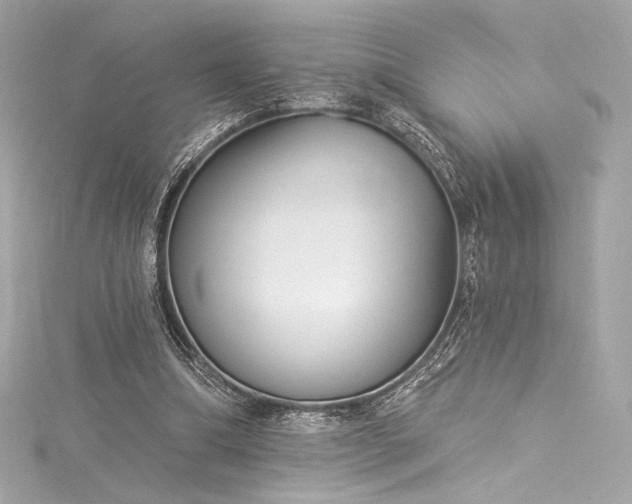 X0000116030298200911201301