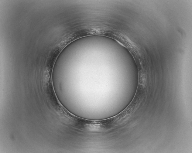 X0000116030318200911201300