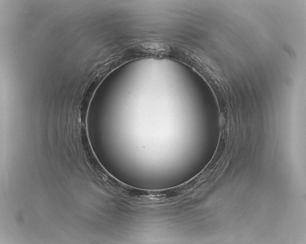 X0000116030320200911201300