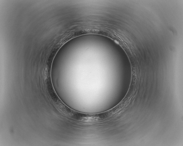 X0000116030323200911201300