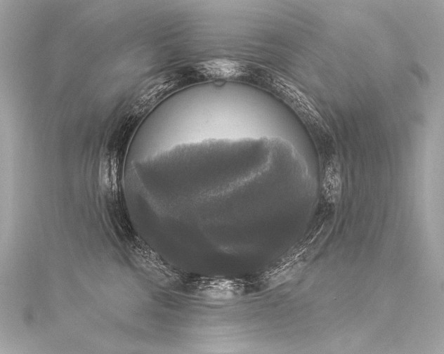 X0000116030330200911201300