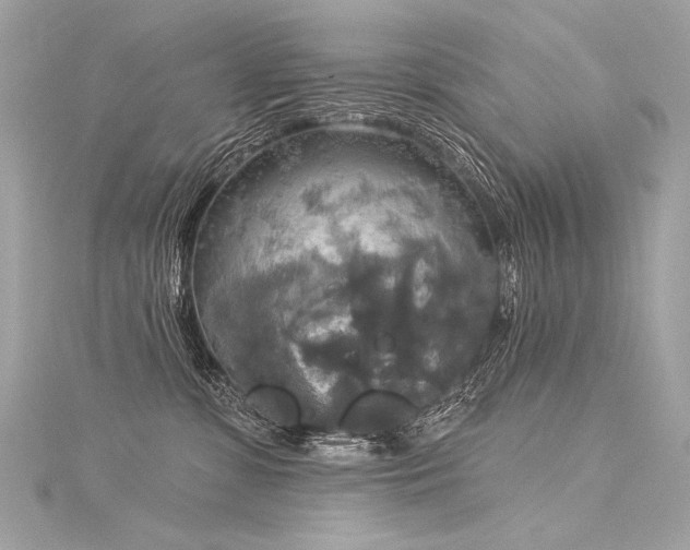 X0000116030331200911201300