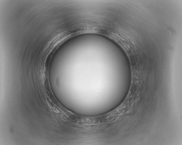 X0000116030338200911201259