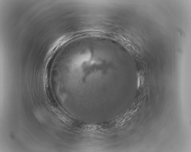 X0000116030339200911201259