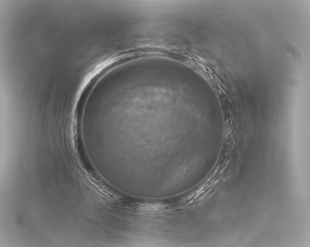 X0000116030342200911201300
