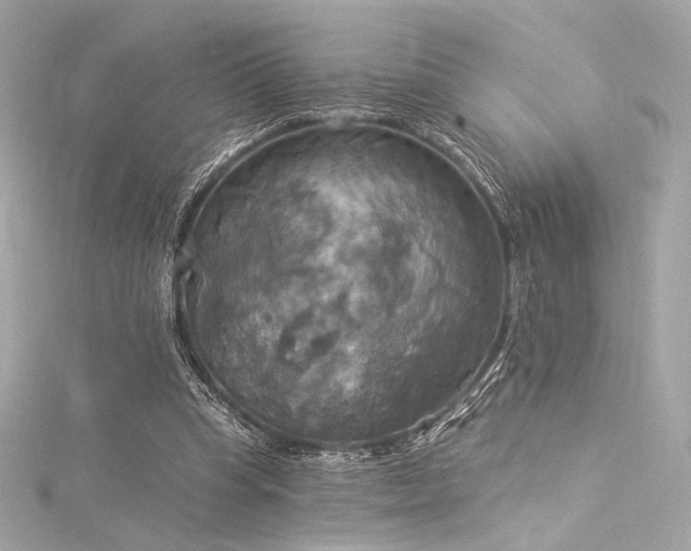 X0000116030345200911201300