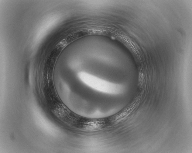 X0000116030381200911201300