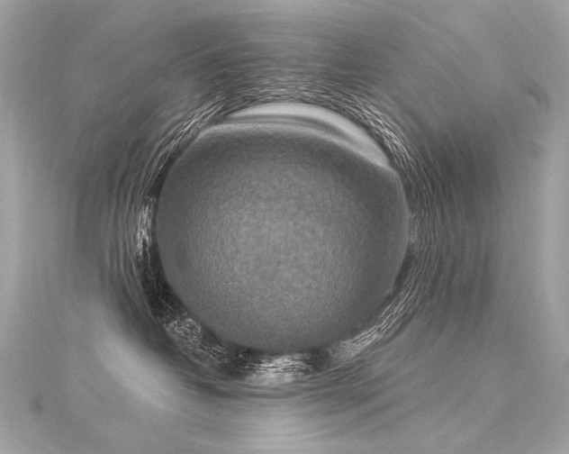 X0000116030382200911201300