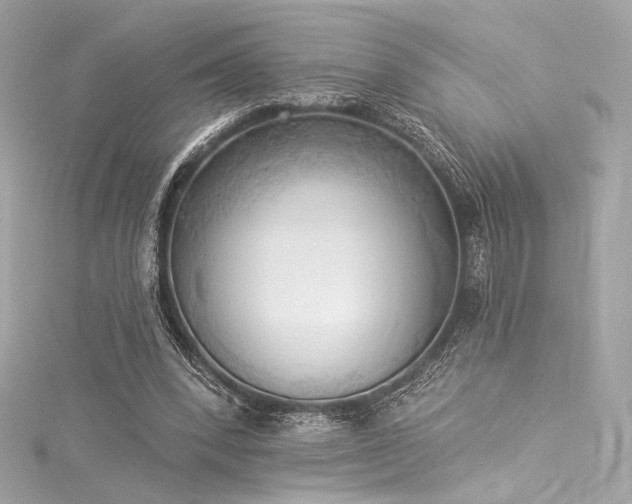 X0000116030392200911201259