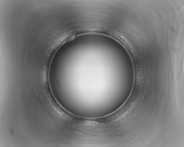 X0000116030393200911201259