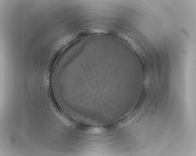 X0000116030402200911201259