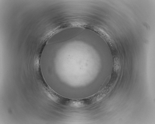 X0000116030405200911201259