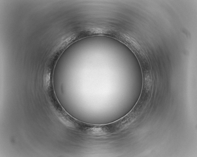 X0000116030406200911201259