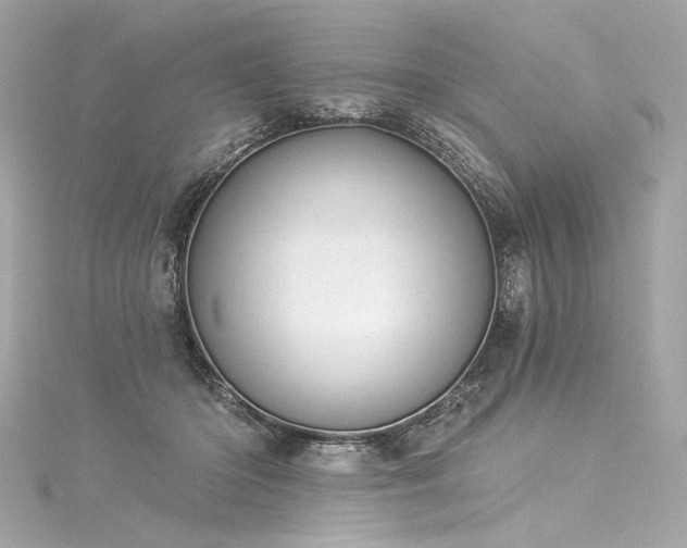 X0000116030414200911201259